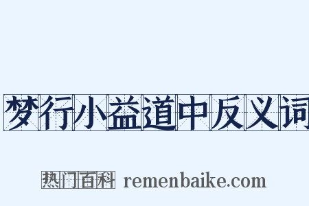 梦行小益道中反义词是什么意思的图片